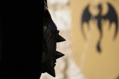 fluc_280810_048