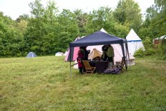 IM4_0014094-small