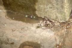 IM4_0014249-small